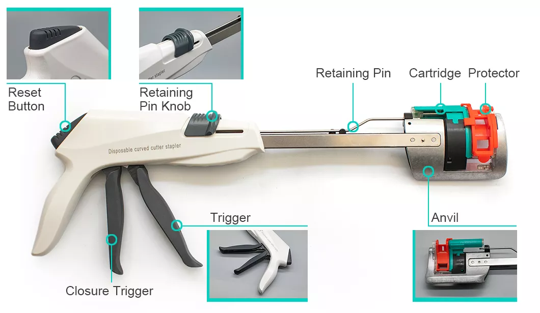 Disposable Curved Cutter Stapler for Digestive Tract Reconstruction and Viscera Resection